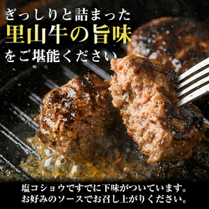 鹿児島県産 霧島湧水鰻3尾(1尾156g)×里山牛100%手作りハンバーグ4個(1個100g) (総計860g以上) うなぎ 鰻 ウナギ 蒲焼き 真空パック うな丼 鰻重 牛 牛肉 鹿児島県産 国産 
