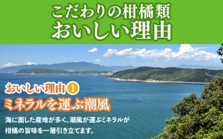 ＜1月より発送＞厳選 柑橘詰合せ2.5kg+250g（傷み補償分）◇【有田の春みかん詰め合わせ・フルーツ詰め合せ・オレンジつめあわせ】【光センサー選別】 ※北海道・沖縄・離島への配送不可 ※2026年