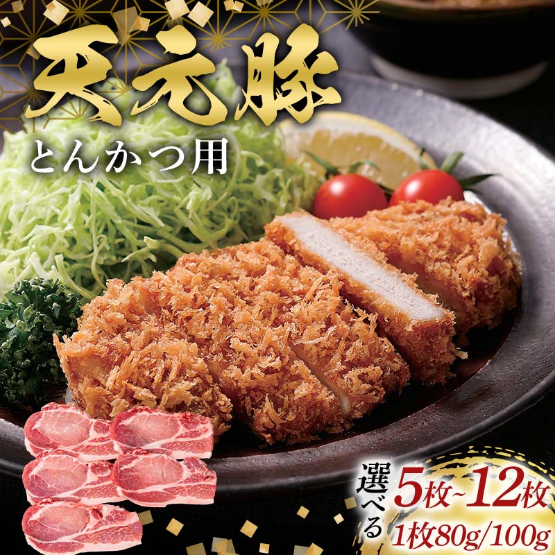 【ふるさと納税】 《選べる容量》天元豚とんかつ用5～12枚（1枚80／100g） F2Y-6599var