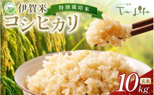 
                  特別栽培米・伊賀米コシヒカリ 10kg〈玄米〉/ 伊賀米 コシヒカリ 玄米 10kg コシヒカリ玄米 玄米10kg 米 こめ お米 三重県 伊賀市 伊賀 三重 伊賀産米 伊賀市産米 三重県産米 国産米 国産玄米 特別栽培米 特別栽培 こしひかり ブランド米 伊賀産コシヒカリ お米10kg 米10kg 玄米 コシヒカリ 伊賀米 三重県産 伊賀市産 お取り寄せ 伊賀米 玄米【tuli0006A】
                