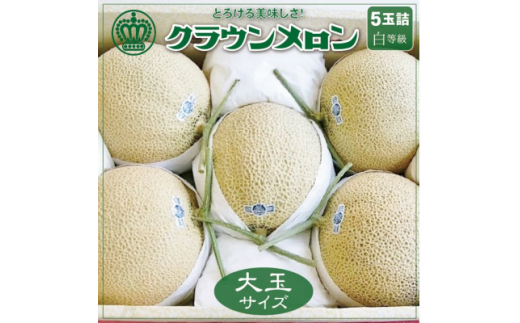 ＜通年出荷＞クラウンメロン(白等級)大玉　5玉詰【1104740】