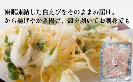 ”富山湾の宝石”白エビ３種（殻付き・刺身・昆布〆）〈冷凍〉