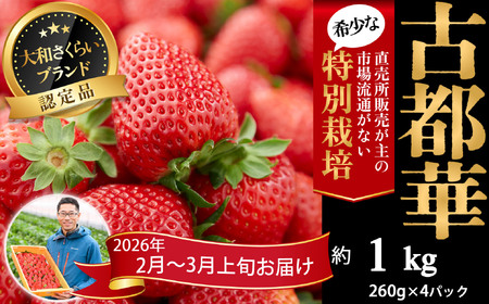 M-CF1.【2月～3月上旬発送】減農薬いちご「古都華」4パック 特別栽培農産物 ※配送地域限定