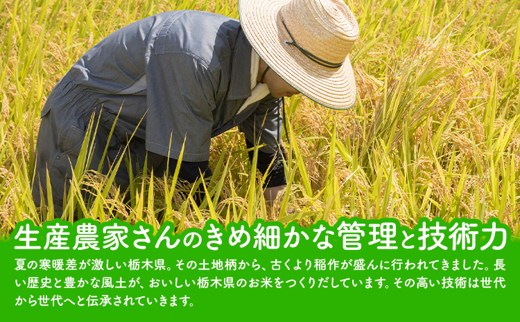 【6ヶ月定期便】栃木 ふるさと米 無洗米 20kg (5kg×4袋)《お申込み翌月から出荷》栃木県 野木町 米 国産 お米 おこめ お弁当 おにぎり【栃木県共通返礼品】