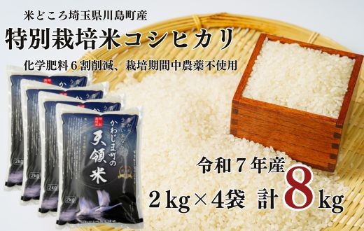 
            【令和7年度産　特別栽培米】埼玉県かわじま町　天領米（コシヒカリ） 2kg×4袋
          