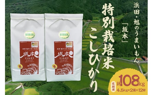 【定期便】【令和6年産】浜田・旭のうまいもん「坂本」特別栽培米こしひかり　4.5kg×2袋×12回 【1026】