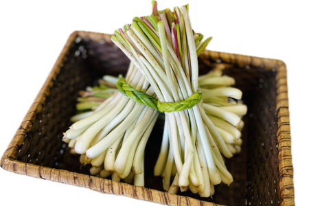 らっきょう 島らっきょうの甘酢漬け 100g 10個 [NOGUS 沖縄県 伊江村 ie47bde420001] 島らっきょう 甘酢漬け