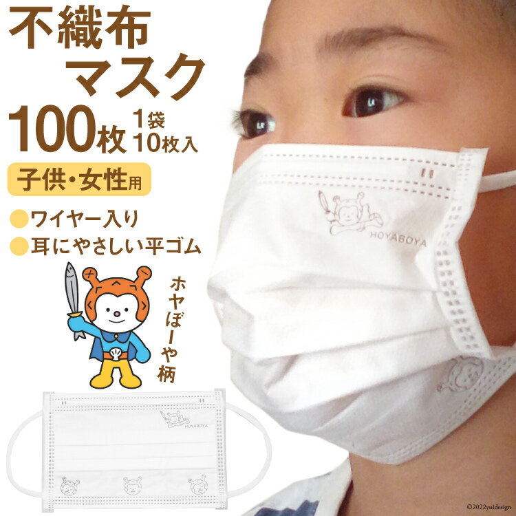 【ふるさと納税】【ホヤぼーやマスク】 不織布マスク 女性用 子供用 計100枚 10枚入 ×10袋 [気仙沼市物産振興協会 宮城県 気仙沼市 20565241] マスク 不織布 ワイヤー入り 小さめ 小さめサイズ 子ども 子供 キッズ キャラクター