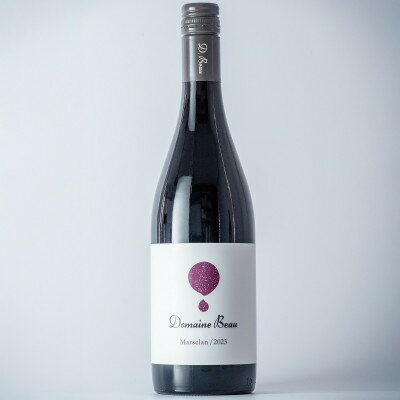 【ふるさと納税】ドメーヌボー マルスラン 2023【配送不可地域：離島】【1623392】