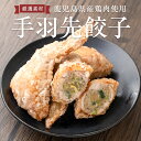 【ふるさと納税】手羽先餃子 （10本）朝引き鳥をその日に仕込むこだわりの詰まった手作り冷凍手羽ぎょうざ【一番鶏】