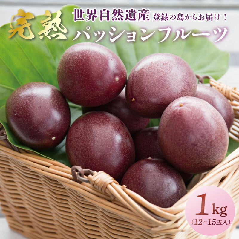 【ふるさと納税】【2025先行予約】 奄美大島産 パッションフルーツ 家庭用 1kg 12玉 ～ 15玉 パッション フルーツ 果物 トロピカル 南国 甘い 甘味 酸味 追熟 デザート フラスコ ふるさと納税 鹿児島 奄美市 おすすめ ランキング プレゼント ギフト