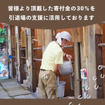 ふるさと納税 須崎市 引退馬支援(2) |  | 03