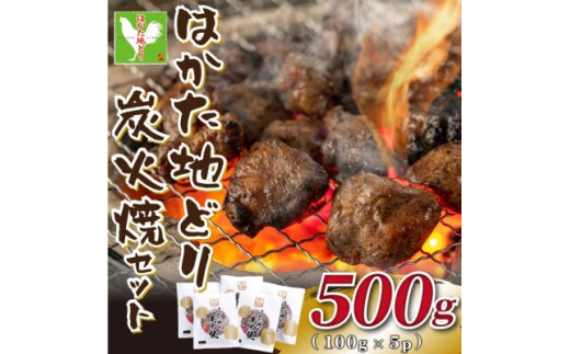 
はかた地どり炭火焼セット500g(100g×5p)(吉富町)【1444253】
