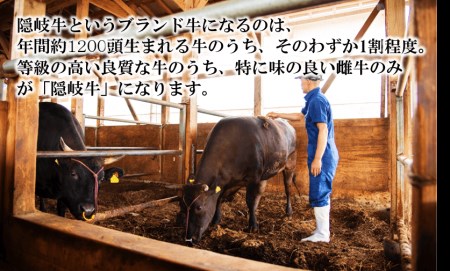 隠岐牛 牛肉 2.4kg 牛肉