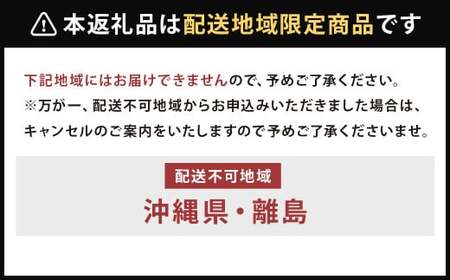 観葉植物 のような アレンジ 1個 ドライフラワー 植物 鑑賞用