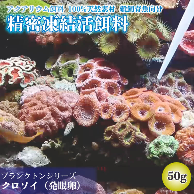 【ふるさと納税】 精密凍結活餌料 クロソイ（発眼卵） 50g (5g×5個×2袋) 難飼育魚向け餌料 観賞魚 熱帯魚 1万円 10000円