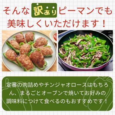 ふるさと納税 田村市 【2026年7月より順次発送予定】訳あり 規格外 ピーマン 3kg |  | 02