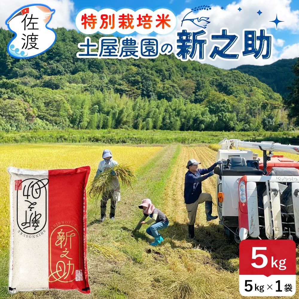 佐渡島産新之助 無洗米5kg（5kg×1袋） 土屋農園 特別栽培米 令和7年産【食の宝島佐渡】195962-0223