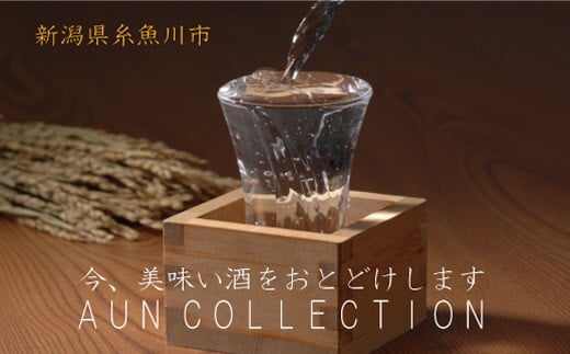 
            特選日本酒頒布会【3ヶ月コース】日本酒1800ML×2本 定期便3回（3ヶ月）限定10セット 飲み比べ 地酒 ふるさと納税限定 【 日本酒 新潟県 糸魚川市 無濾過 生原酒 しぼりたて 辛口 芳醇 1升瓶 謙信 根知男山 月不見の池 雪鶴 純米 吟醸 美味しい 6本 人気 おすすめ】
          