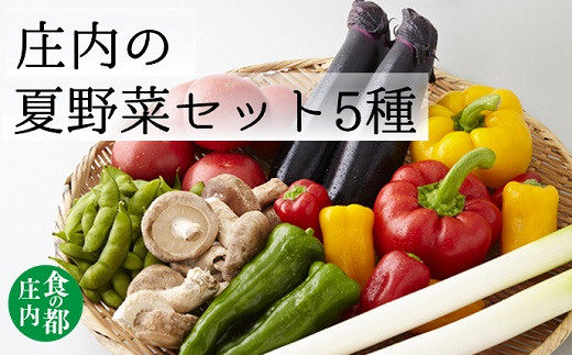 食の都庄内　庄内の夏野菜セット5種※7月上旬～9月下旬配送