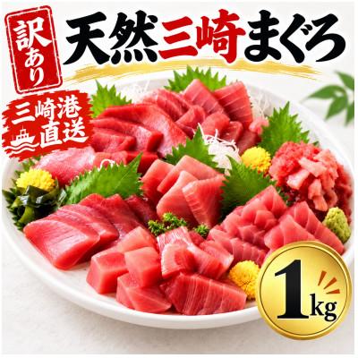 ふるさと納税 三浦市 【訳あり】天然三崎まぐろ 赤身 1kg 家計応援 10人分!不揃い　海鮮 刺身 漬け