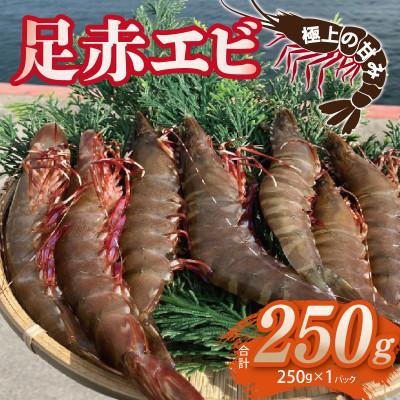 ふるさと納税 泉佐野市 足赤エビ 250g 国産 天然 生食可  010B1862