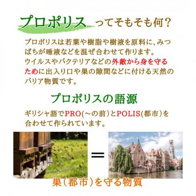 ふるさと納税 大牟田市 プロポリスエキス　12cc |  | 02