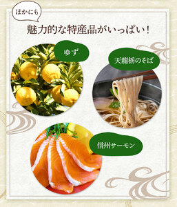 【期間限定☆レシピ付】信州伝統野菜　天龍村産ていざなす4本セット | 野菜 やさい 茄子 なす ていざなす 長野県 南信州 天龍村