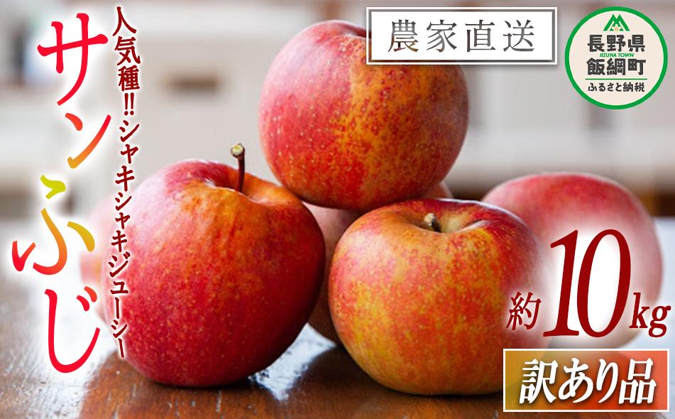 
            りんご サンふじ 訳あり 10kg 渡辺農園 沖縄県への配送不可 2025年12月上旬頃から2026年1月中旬頃まで順次発送予定 令和7年度収穫分 エコファーマー認定 減農薬栽培 長野県 飯綱町 [1251]
          