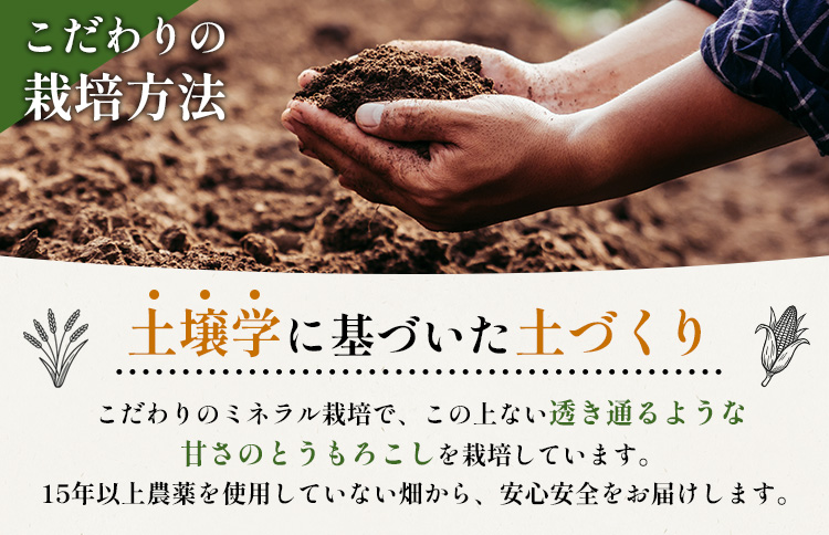 【先行予約】上原農場直送 有機栽培とうもろこし (サニーショコラ) 約30kg 約65本前後【66021】_イメージ3