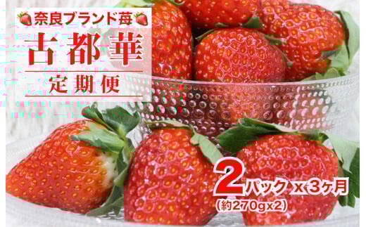 【2026年発送先行予約】【定期便 全３回】苺 古都華(ことか) いちご 奈良 270gx2パック 計540g ３ヶ月連続 いちご 果物 フルーツ 苺 イチゴ くだもの 朝取り 新鮮 美味しい 甘い
