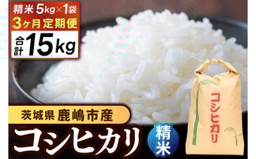 ★令和7年産★【3ヶ月定期便】 米 コシヒカリ 5kg × 3回 (精米) 鹿嶋市産【お米 白米 こしひかり 茨城県 鹿嶋市 40000円以内】(KDS-8)