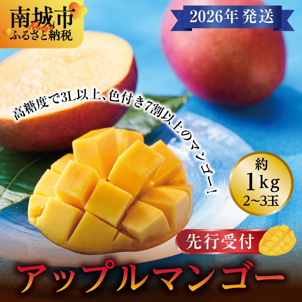 【ふるさと納税】(先行受付)【2026年発送】アップルマンゴー 南城市 約1kg (2～3玉)