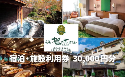 白馬樅の木ホテル 共通利用券　30,000円分【K0450671-B】