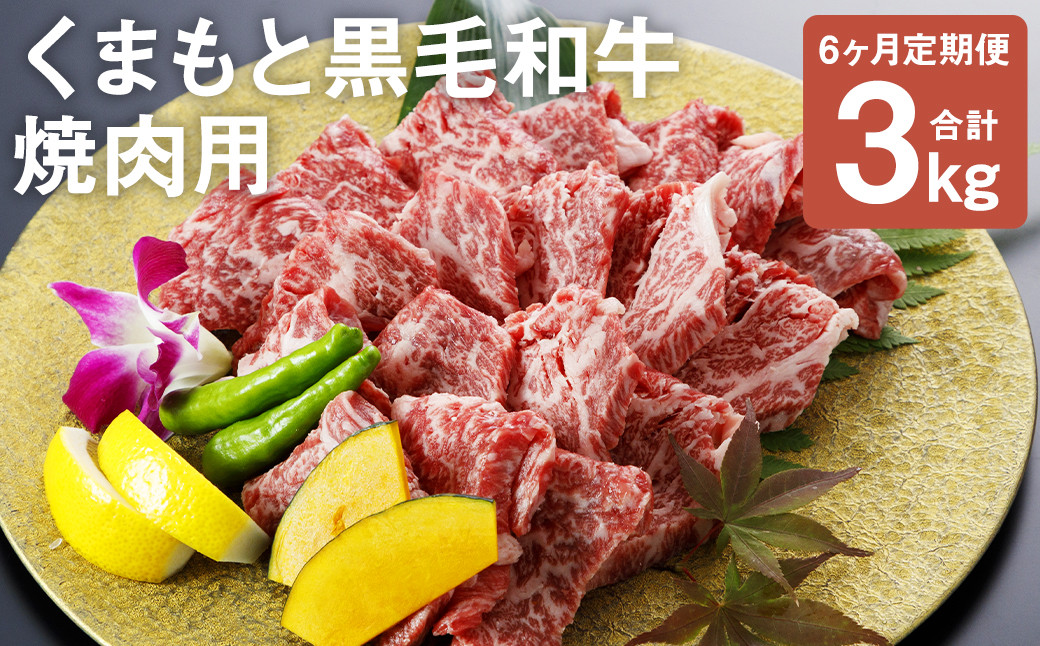 【定期便6回】くまもと黒毛和牛 焼肉用 500g 合計3kg