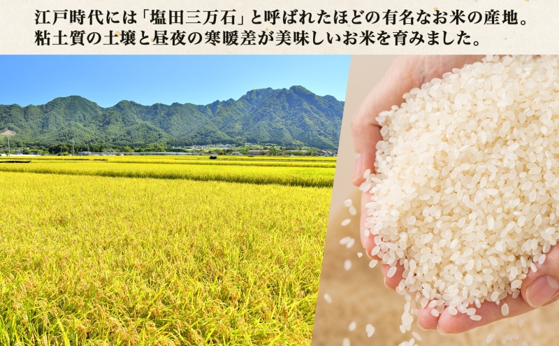 【新米予約】 令和6年産 長野県 信州 上田市産 こしひかり 10kg×2袋 計20kg 精米 白米 ブランド米  銘柄米 コシヒカリ ご飯 ライス お弁当 おにぎり 主食 国産 日本産 和食 お取り