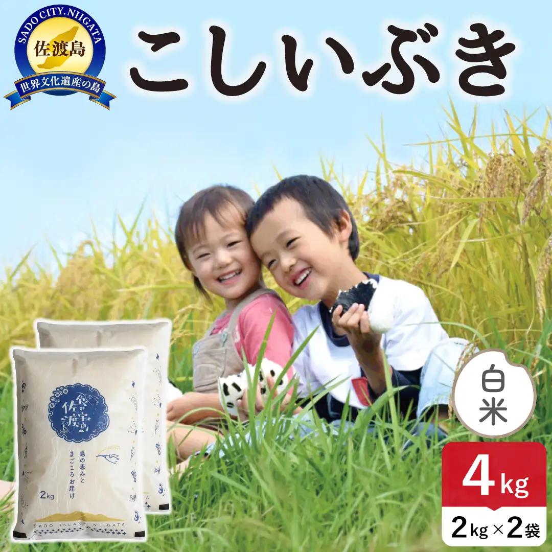 佐渡島産こしいぶき 白米 4kg 令和8年産 農薬5割減 土屋農園 195962-051202