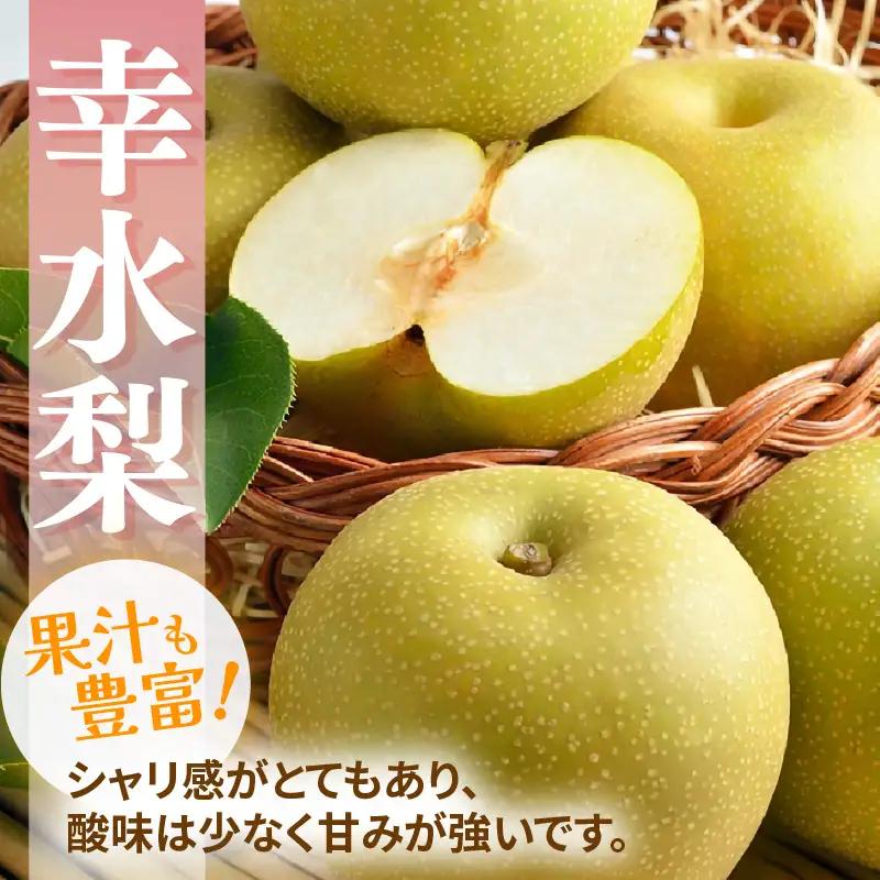 【先行予約】福井梨 3kg 6～8玉入 《幸水梨 豊水梨どちらかのお届け！》 ／ 期間限定 果物 フルーツ 産地直送 旬 お取り寄せ ※2026年8月下旬以降発送 [aw003-a009]