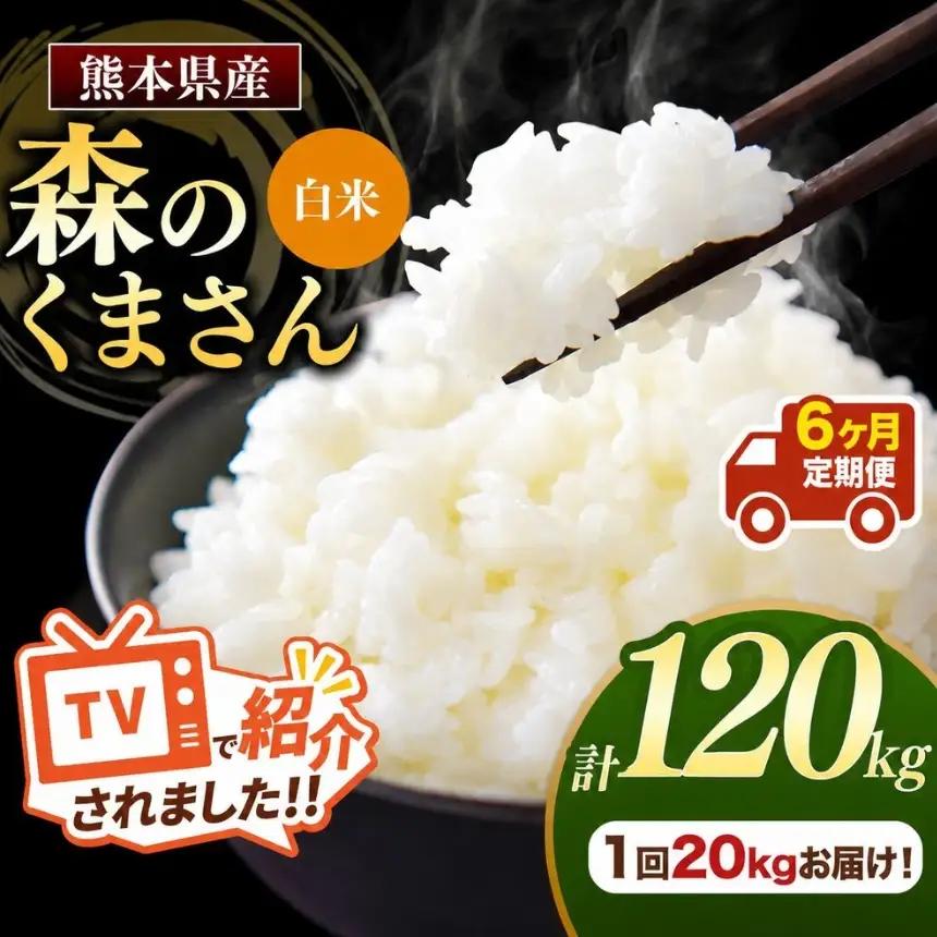 【 定期便 6回 】 R7年産 熊本県産白米 森のくまさん 20kg
