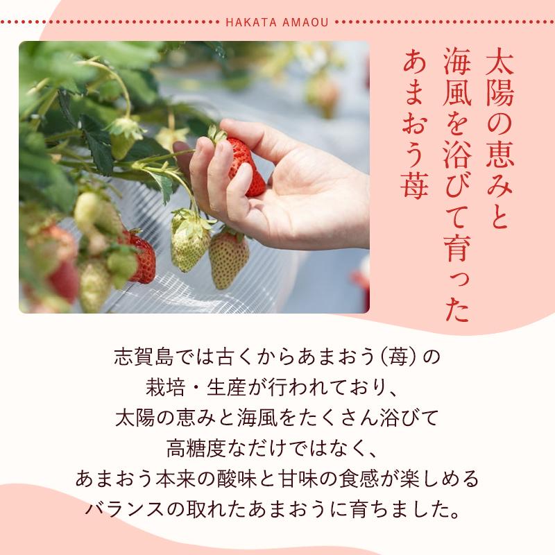 フルーツソムリエが選んだ 福岡県産春あまおう８パック※一部離島不可【1パックあたり250g】