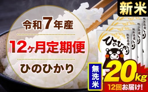 【12ヶ月定期便】新米 令和7年産 無洗米 20kg 米 ひのひかり《お申込み月の翌月から出荷開始》熊本県 菊池市 国産 熊本県産 白米 精米 無洗米 送料無料 ヒノヒカリ こめ お米