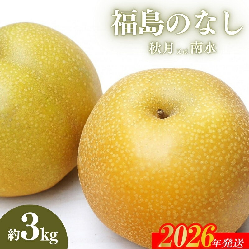 【ふるさと納税】No.2185福島のなし　秋月または南水　約3kg【2026年発送 先行予約】