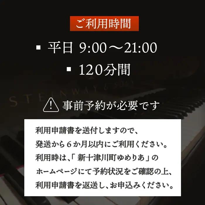 スタインウェイピアノ試弾券（120分）　※平日限定（午前９時～午後９時）【2100101】