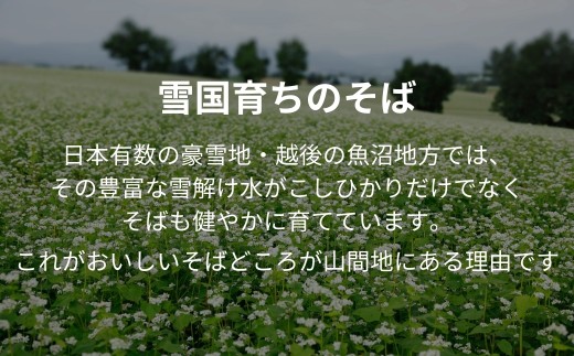 つるりとしたのど越し、弾力のある食感、風味の豊かさが特徴のお蕎麦