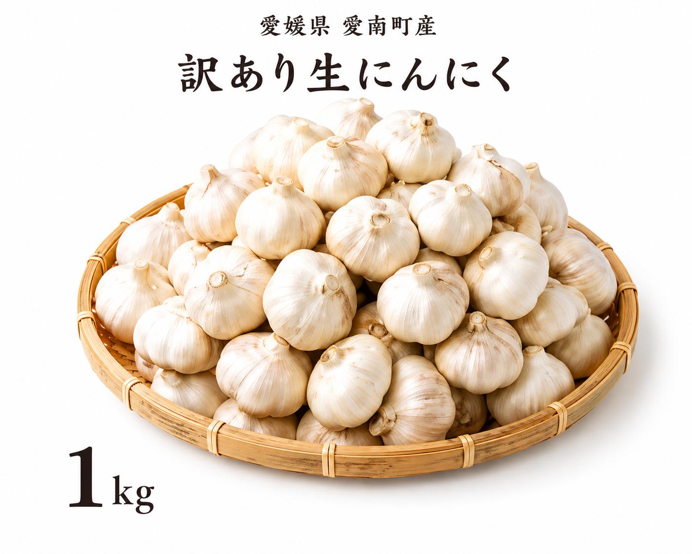 
                  石川ファームの愛南町産 訳あり 生にんにく 1kg 【発送期間：5月中旬～発送】※天候により前後する場合があります。今が旬
                
