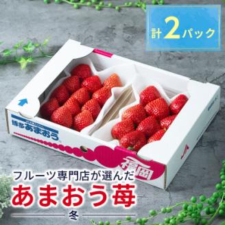 フルーツ専門店が選んだ「あまおう苺」冬2パック(大野城市)【配送不可地域：離島】