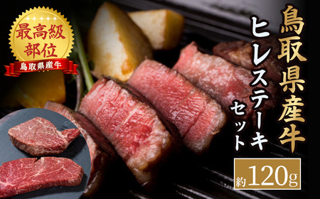 【特別規格品】 鳥取県産牛 最高級部位 ヒレ ステーキ セット （約120g） 牛肉 和牛 鳥取和牛 ブランド和牛 ヒレ フィレ ヒレステーキ ヒレ肉 牛肉ヒレ 和牛ヒレ