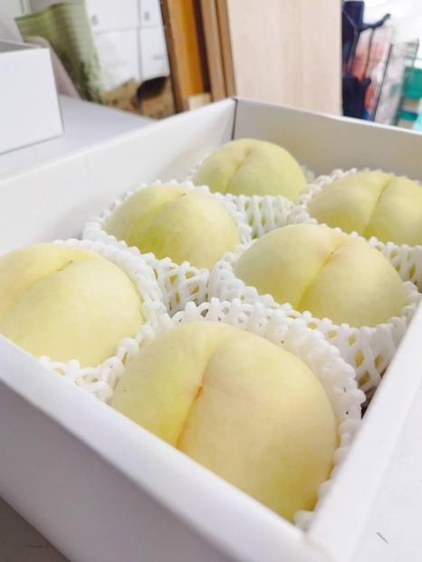 岡山白桃　約1.5kg（6玉前後）