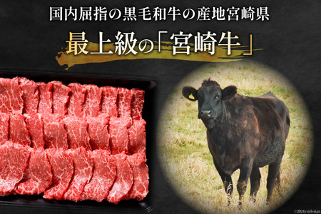 【牛肉】 牛肉 宮崎牛 モモ焼肉 500g 2p 計 1kg
