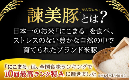 諫美豚ハンバーグ 10個（各150g）計1.5kg / 豚肉 ハンバーグ はんばーぐ おかず 惣菜 冷凍 / 諫早市 / 土井農場 [AHAD064]